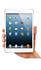 Ipad Mini 1